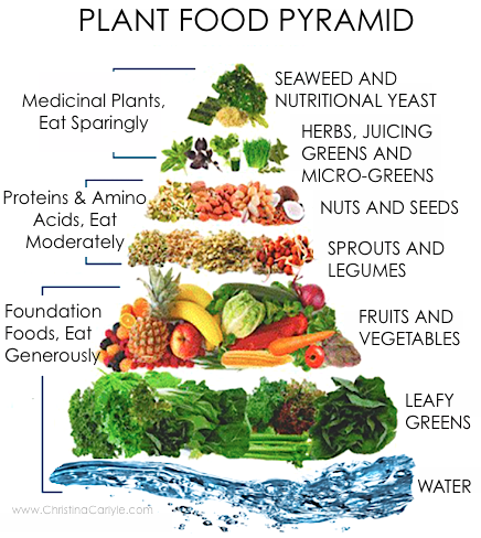 vegan meal plan