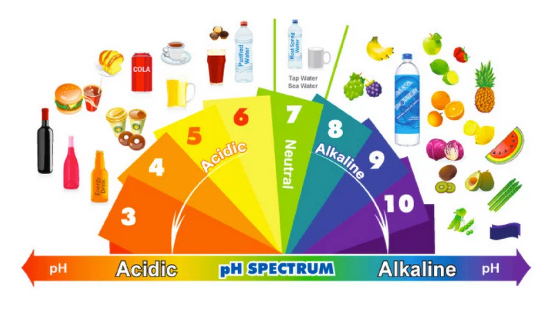 Chart showing range of healthy and unhealthy pH levels of acid
