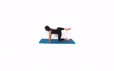 How to Get Rid of Saddlebags + Workout for Outer Thigh and Hips