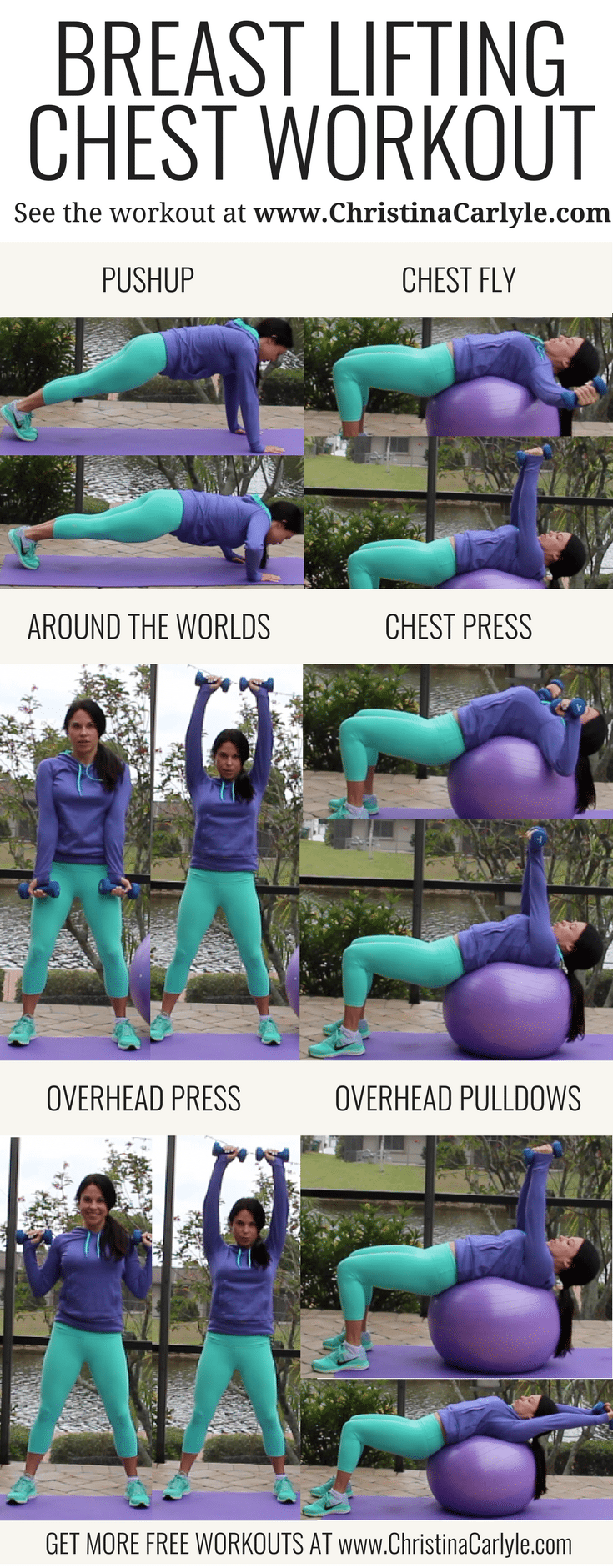 Pin by Christina Anibaldi VanRemmen on Workout Ideas  Chest workout at home,  Chest workouts, Breast workout