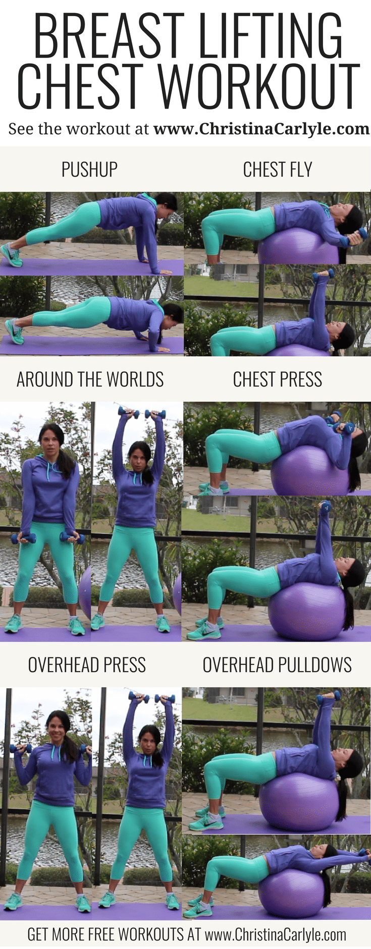 Pin by Christina Anibaldi VanRemmen on Workout Ideas  Chest workout at  home, Chest workouts, Breast workout