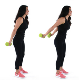 Tricep Pulses Exercise - Christina Carlyle Tricep Pulses Exercise being done by Trainer Christina Carlyle