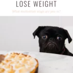 How to get motivated to lose weight Christina Carlyle