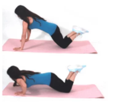 Tricep Pushup Arm Exercise done by Christina Carlyle