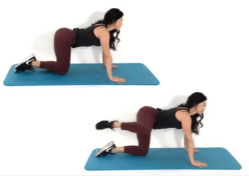 Firehydrant Butt Exercise by Christina Carlyle Firehydrant Exercise being done by Christina Carlyle