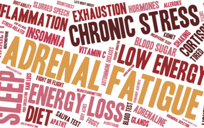 Cortisol and Weight Gain – How Stress Causes Weight & Health Issues