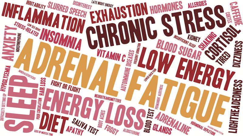Cortisol and Weight Gain – How Stress Causes Weight & Health Issues