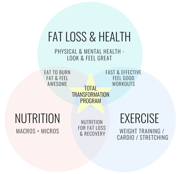 TT meal plan and workouts