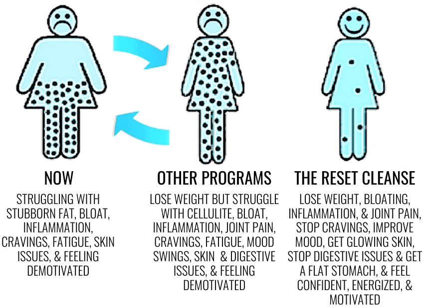 STRUGGLING WITH STUBBORN FAT, BLOAT, INFLAMMATION, CRAVINGS, FATGIUE, SKIN ISSUES, MOOD SWINGS, Christina Carlyle Reset Cleanse infographic about how the detox works