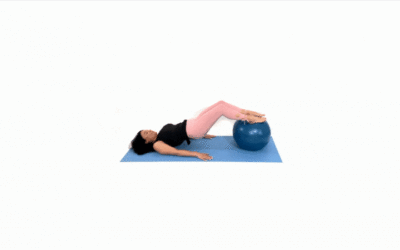 Stability Ball Exercises