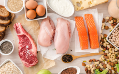 Protein Intake Calculator