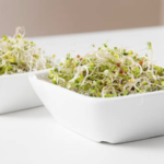 Broccoli Sprouts in a dish on a countertop