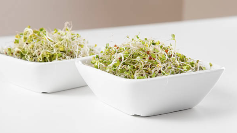 How To Grow Broccoli Sprouts At Home (Easy Method with Most Benefits)