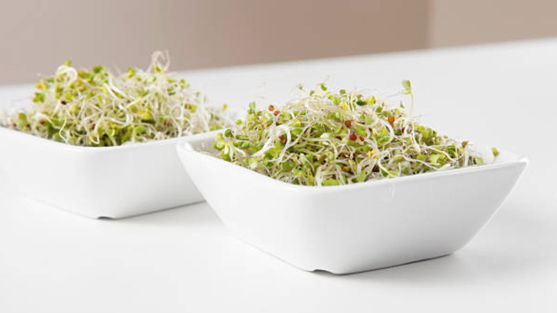 Broccoli Sprouts in a dish on a countertop