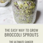 Broccoli sprouts in a sprouting jar and text that says How to Grow Broccoli Sprouts