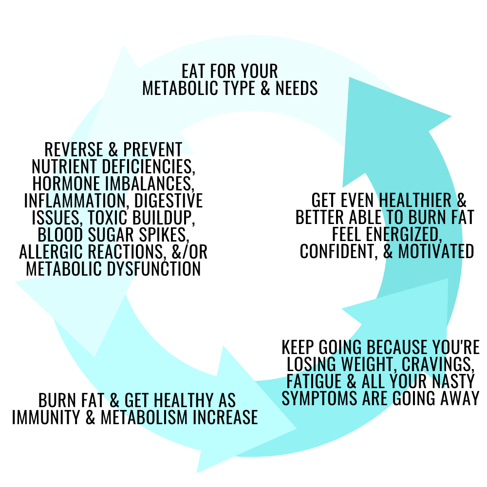 Meta Meal Plan Solution