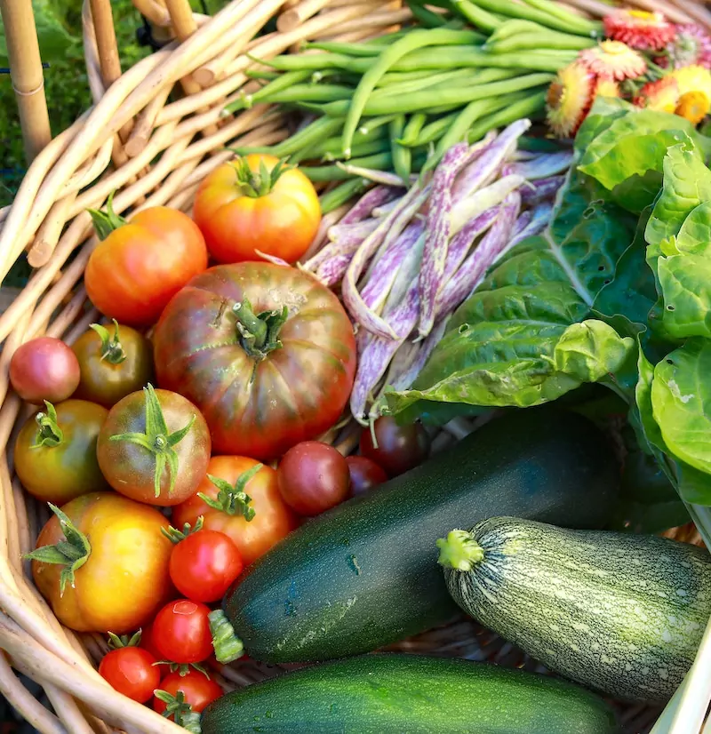 garden vegetables