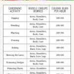 a chart showing How Many Calories you burn while doing different Gardening activities
