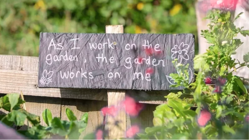 How Many Calories Does Gardening Burn? Find Out!