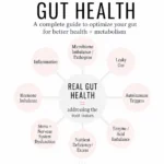 Infographic-style Pinterest pin from Dr. Christina Carlyle titled “The Truth About Gut Health,” showing how root issues like inflammation, hormone imbalance, leaky gut, stress, nutrient deficiencies, enzyme and acid imbalance, autoimmune triggers, and microbiome imbalance can affect digestion, metabolism, and overall health.