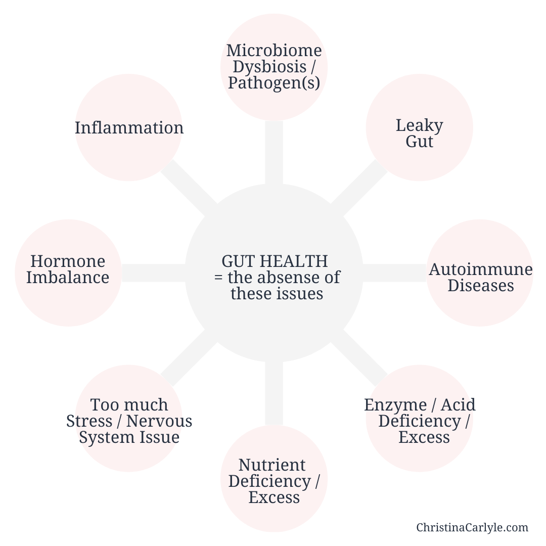 an infographic showing the different factors that affect gut health