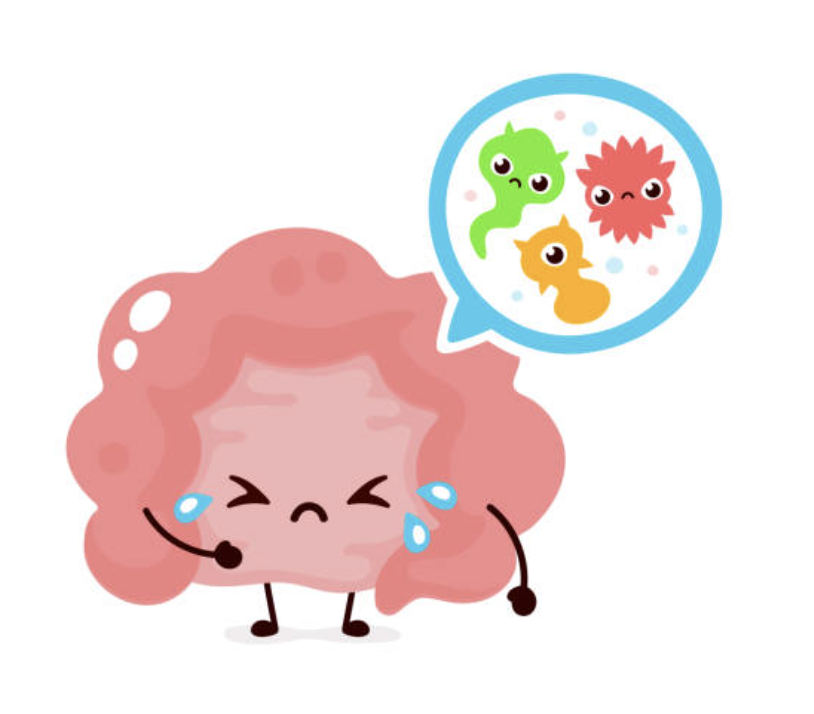 an illustration of gut dysbiosis