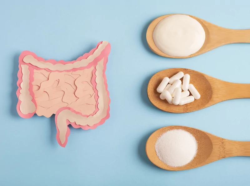 a flatlay of a diagram of the gut and three different probiotics and prebiotics