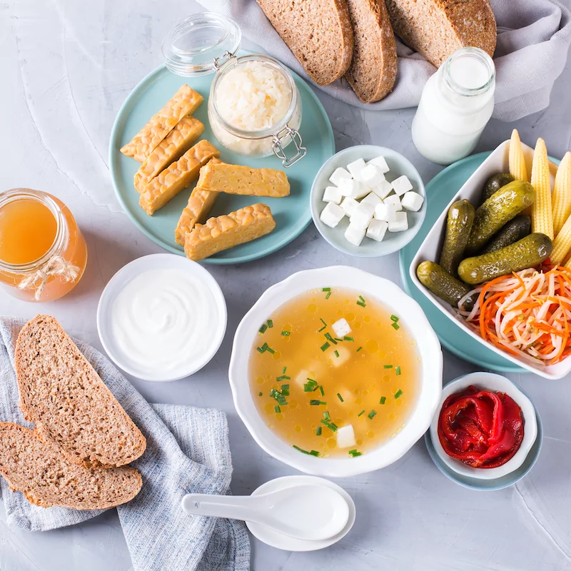 a flatlay with 12 different Probiotic Foods