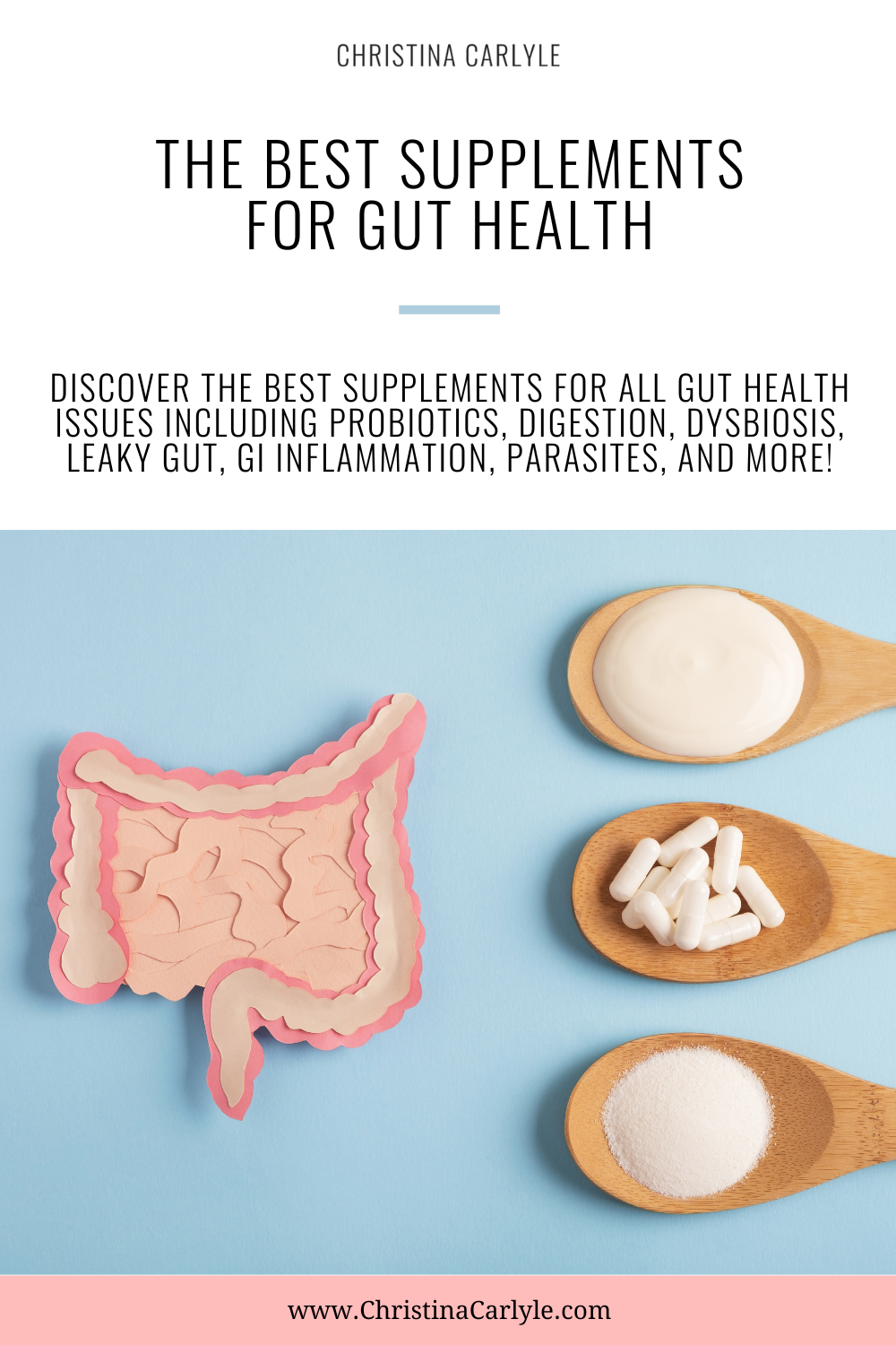 a picture of the gi tract with 3 different supplements and text that says the best supplmements for gut health