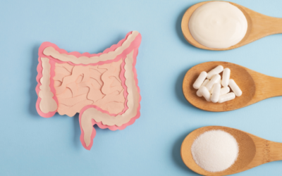 Best Gut Health Supplements for Women