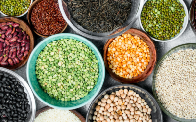 Antinutrients you Should Avoid Eating