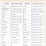 Vegetables in Season
