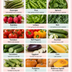 Pinterest pin for Dr. Christina Carlyle showing a visual guide to vegetables in season, with photos of seasonal produce including asparagus, peas, spinach, tomatoes, zucchini, corn, pumpkins, potatoes, onions, and cabbage, plus harvest season timing for each vegetable.