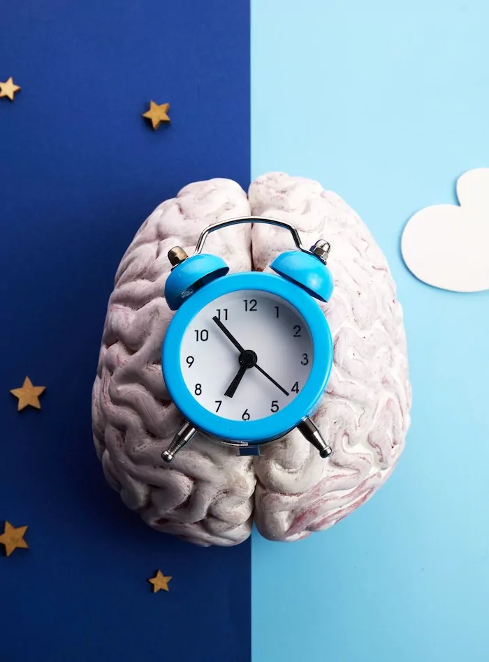 a picture of a brain with a clock on a backdrop that splits night and day