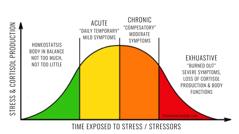 an infographic showing how stress and cortisol levels change over time