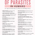 Pinterest infographic by Dr. Christina Carlyle titled Symptoms of Parasites in Humans, featuring a clean pink and white layout with a detailed two-column symptom list including digestive issues, fatigue, skin problems, appetite changes, nausea, rectal itching, anxiety, insomnia, and recurrent infections.