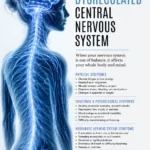 Pinterest pin about symptoms of a dysregulated central nervous system featuring a blue nervous system image with symptom categories including physical symptoms, emotional and psychological symptoms, autonomic nervous system symptoms, and sleep disturbances from Dr. Christina Carlyle.