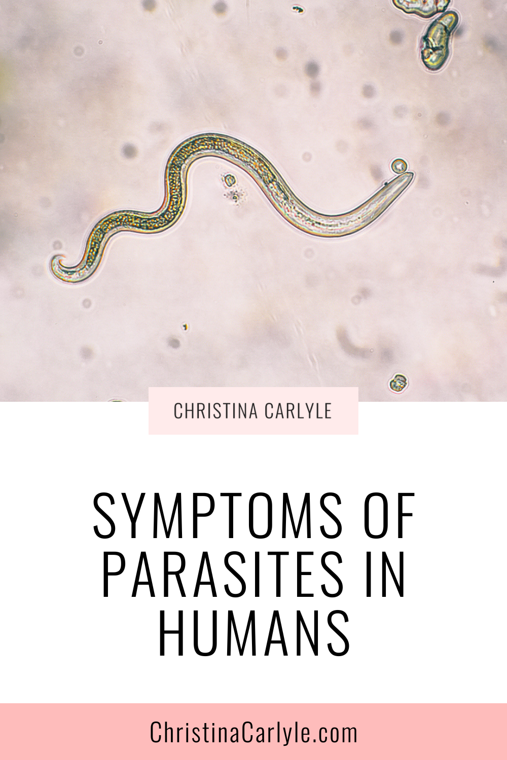 a picture of a parasite and text that says Symptoms of Parasites in Humans