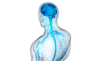 Symptoms of a Dysregulated Central Nervous System