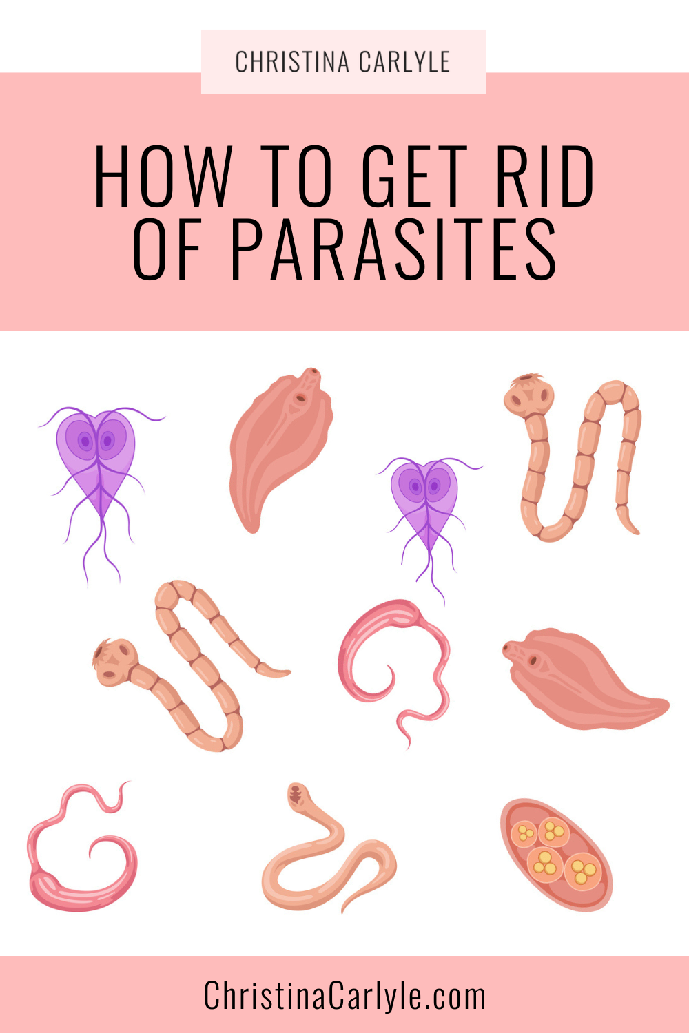 a graphic with different types of parasites and text that says How to Get Rid of Parasites