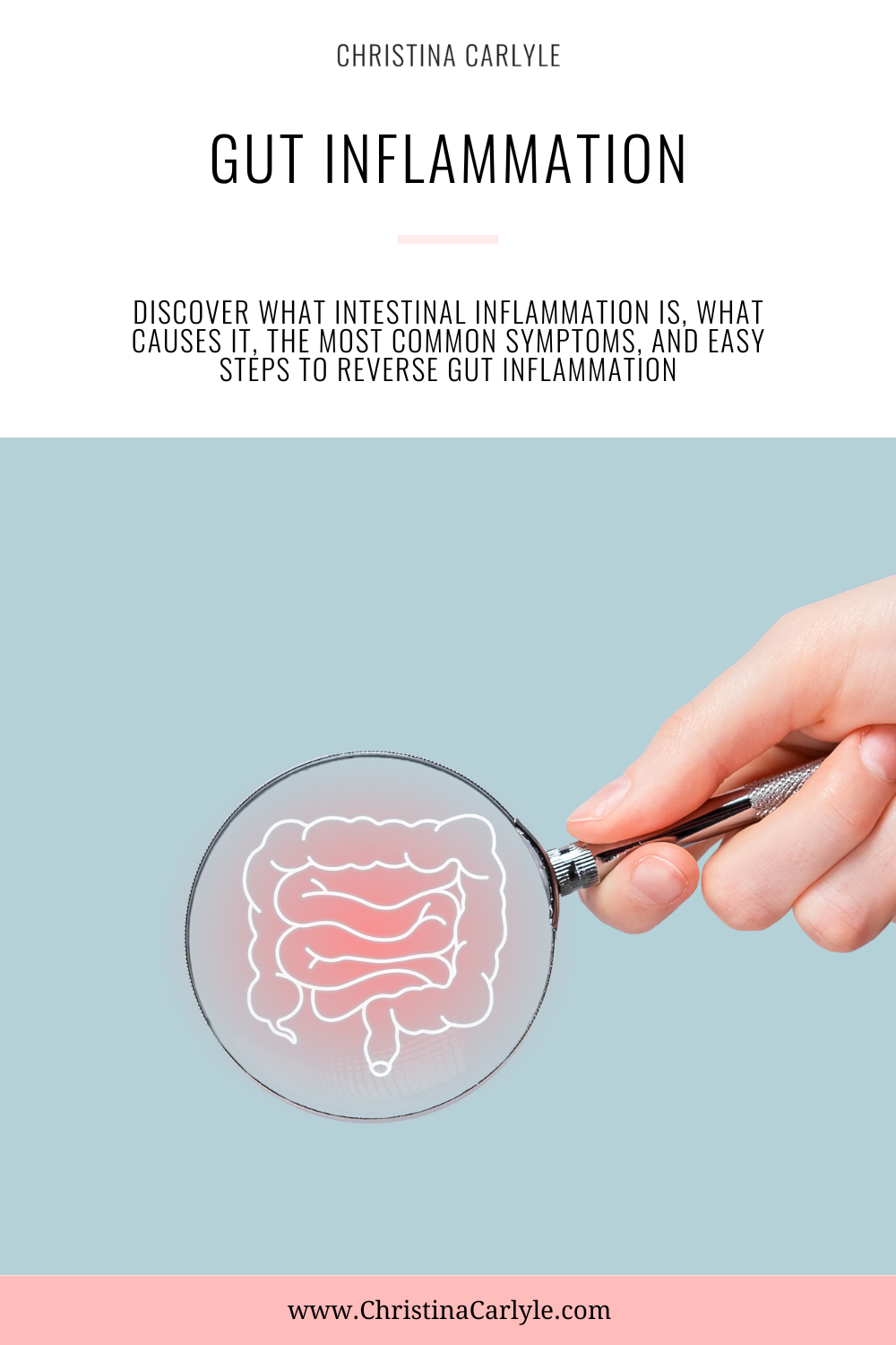 a magnifying glass over an illustration of an inflamed digestive tract