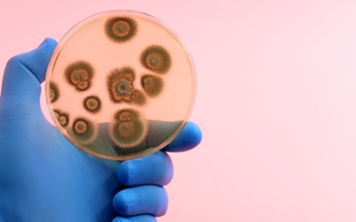 Diseases caused by Nutrient Deficiencies