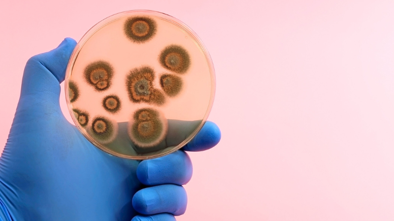 Diseases caused by Nutrient Deficiencies