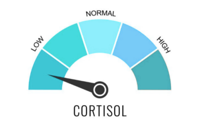 Adrenal Fatigue Symptoms