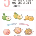 and infographic about free radical damage and oxidative stress