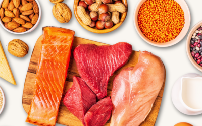 Foods Highest In Protein