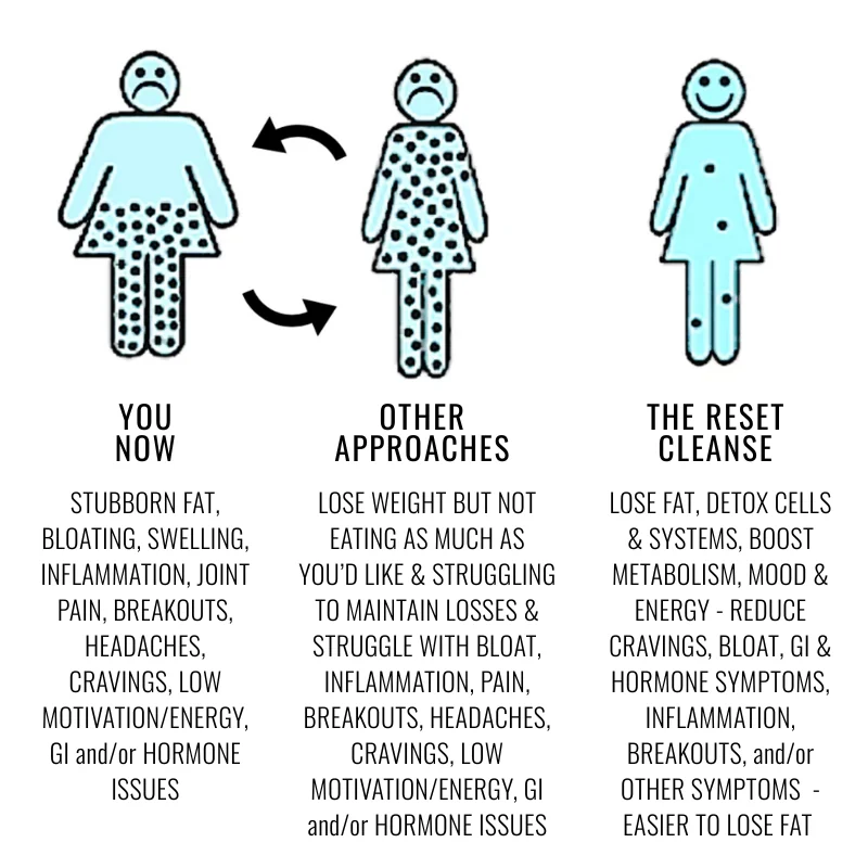 an infographic about how the Reset Cleanse works