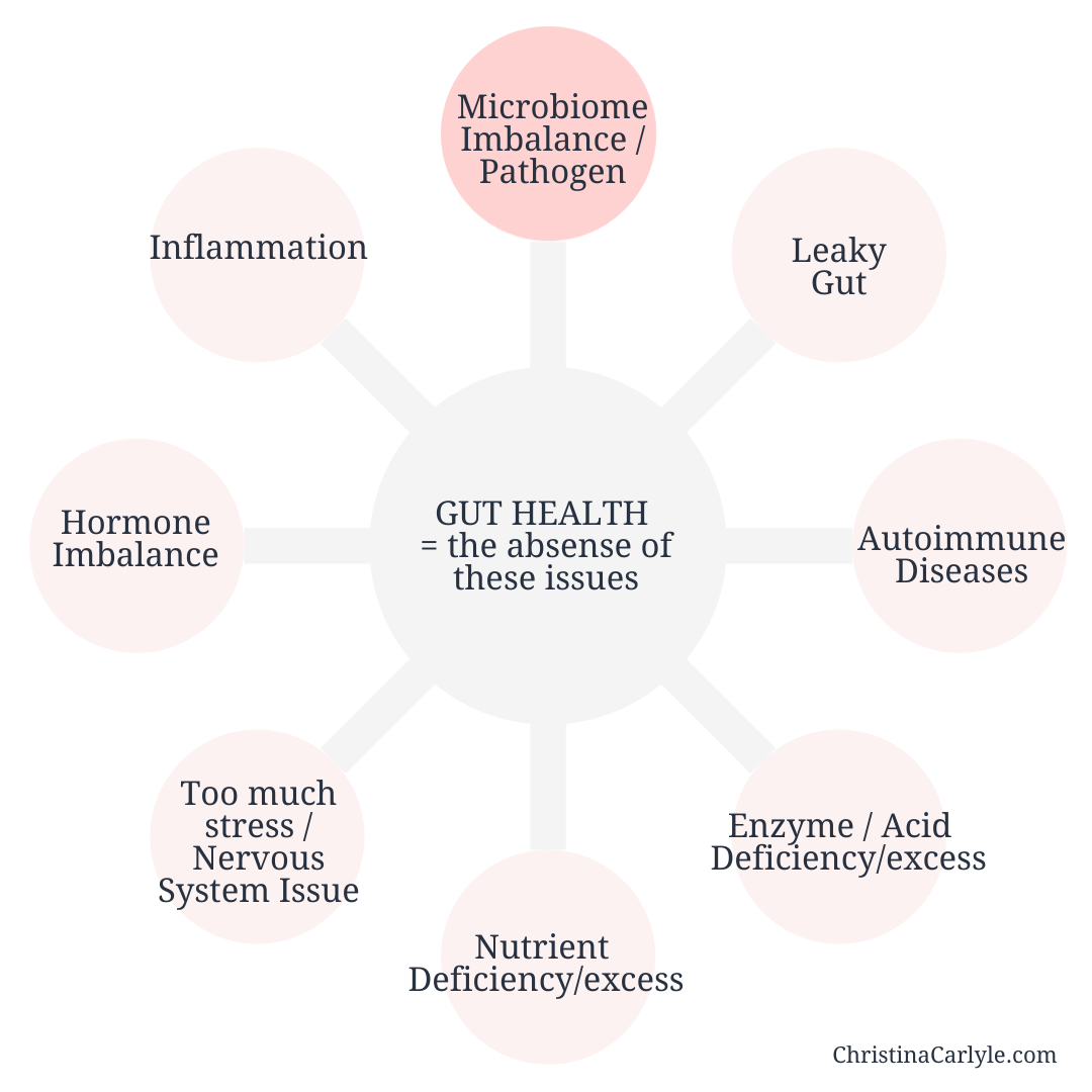 a diagram of how the gut microbiome effects gut health