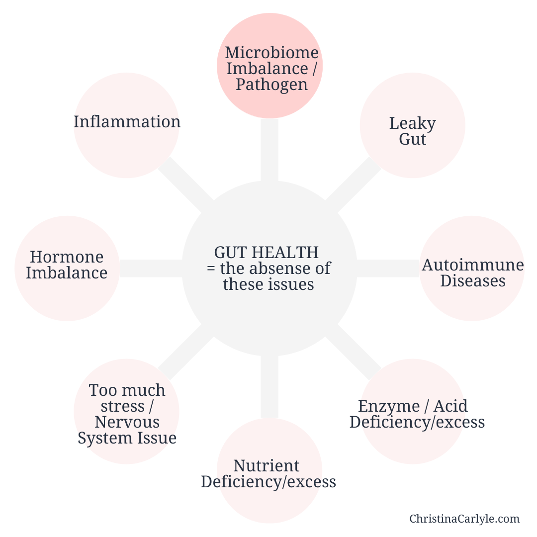 Gut health issues infographic showing the 7 gut health issues that contribute to gut health