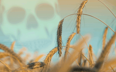 How to Detox Glyphosate: The only Science-Backed Solution